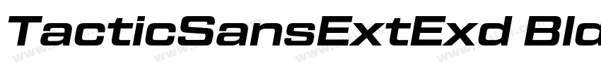 TacticSansExtExd Bld字体转换